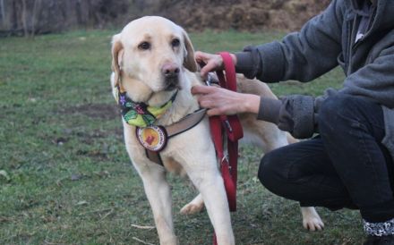 Hat Lindi dein Herz schon erobert?