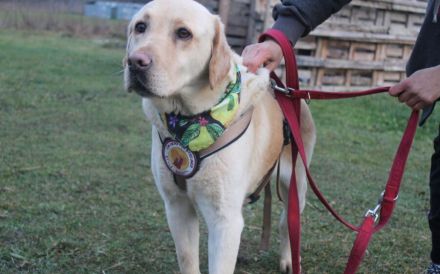 Hat Lindi dein Herz schon erobert?