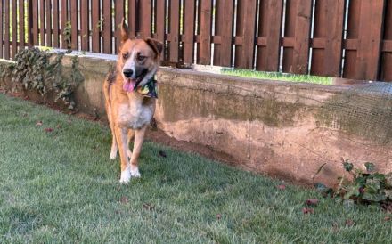 Ronya sucht ein warmes Plätzchen