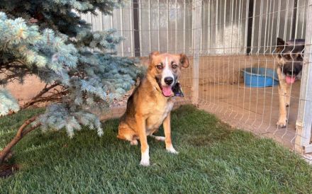 Ronya sucht ein warmes Plätzchen