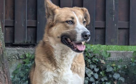 Ronya sucht ein warmes Plätzchen