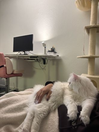 Löki sucht die große liebe