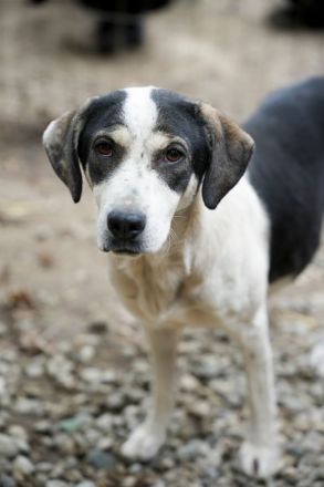 HEIDI sucht ein warmes Körpchen