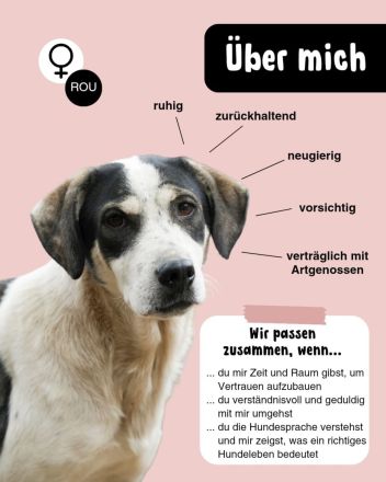 HEIDI sucht ein warmes Körpchen