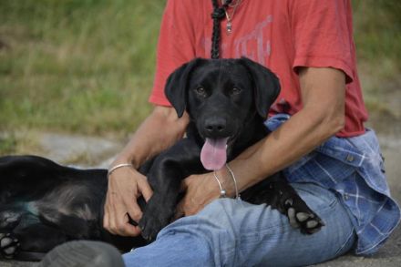 Cooper. der II. Riesenbaby und Tollpatsch sucht seinen Happyplaces