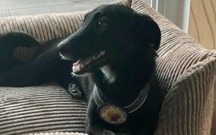 Dina wartet auf ihr Glück