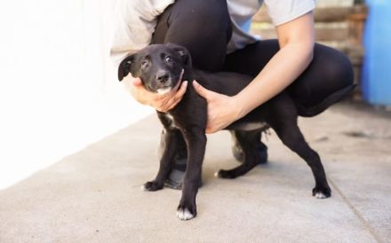 Dina wartet auf ihr Glück