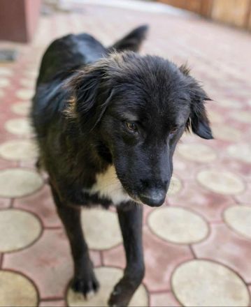 Bounty sucht sein Für-immer-Zuhause