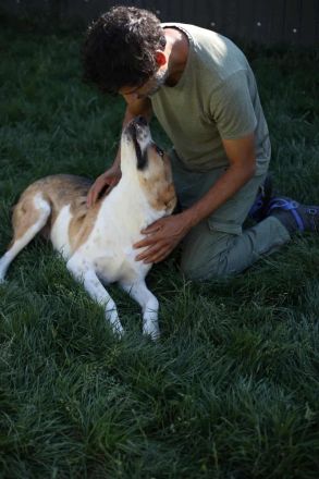 Rio sucht sucht sein Für-immer-Zuhause