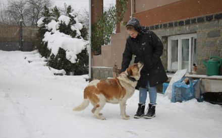 Verliebst du dich in die tolle Annie?