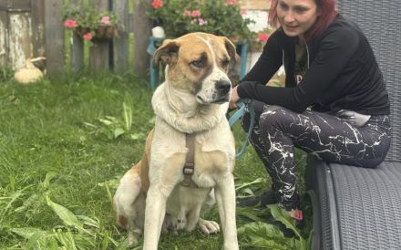 Verliebst du dich in die tolle Annie?