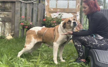 Verliebst du dich in die tolle Annie?