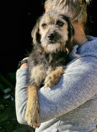 Alana, klein, freundlich, sucht eine mette Familie