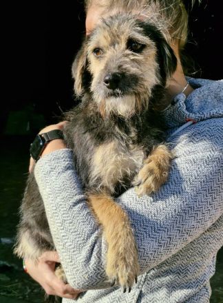 Alana, klein, freundlich, sucht eine mette Familie