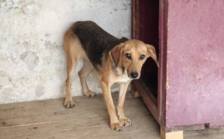 Schüchterne Gretchen sucht Schutzzone