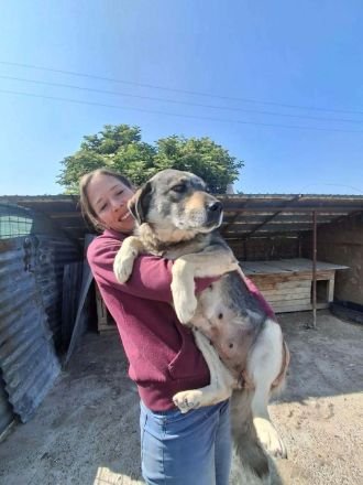 Gina sucht ihr Für-immer-Zuhause