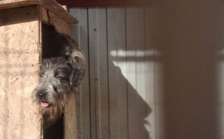 Schutzzone für Haldir gesucht