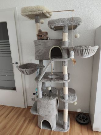 Bıcolor Britisch Kurzhaar Katze+ elektrischer Katzenklo+Kratzbaum