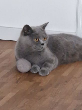 Bkh Winston Churchill abzugeben