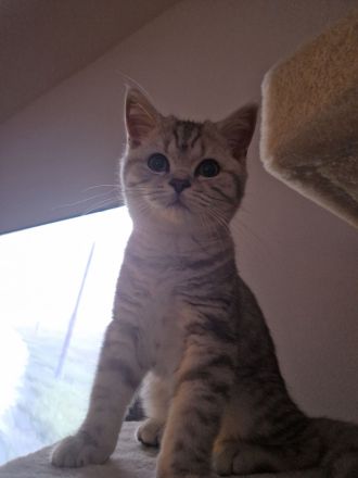 Bkh Winston Churchill abzugeben