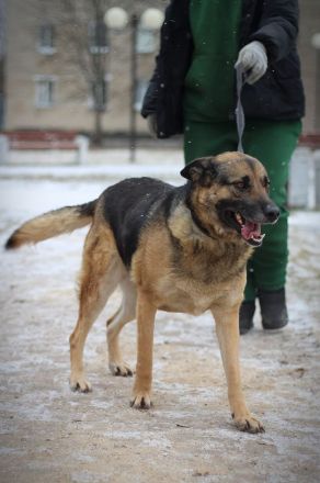 Ilana wartet schon viele Jahre auf ein Zuhause