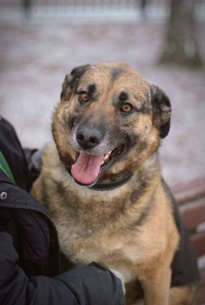 Ilana wartet schon viele Jahre auf ein Zuhause
