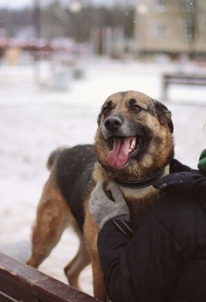 Ilana wartet schon viele Jahre auf ein Zuhause