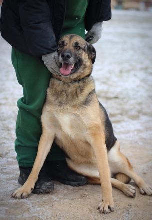 Ilana wartet schon viele Jahre auf ein Zuhause