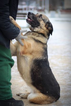 Ilana wartet schon viele Jahre auf ein Zuhause