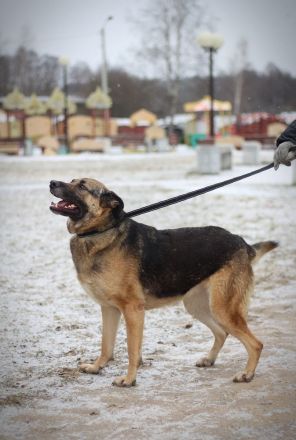 Ilana wartet schon viele Jahre auf ein Zuhause