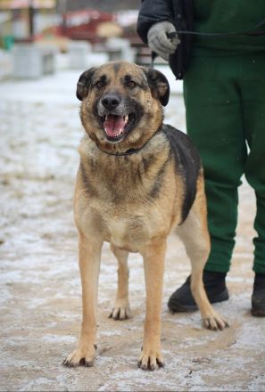 Ilana wartet schon viele Jahre auf ein Zuhause