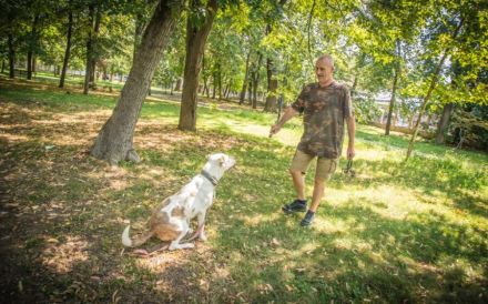 Torgan möchte endlich ankommen (außerhalb von DE)