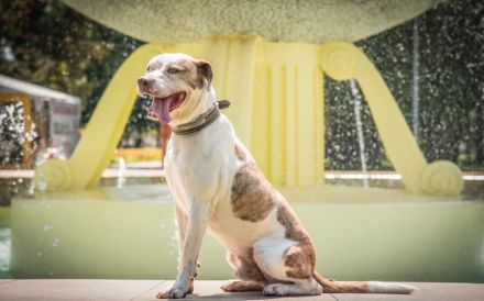 Torgan möchte endlich ankommen (außerhalb von DE)