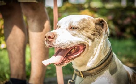 Torgan möchte endlich ankommen (außerhalb von DE)