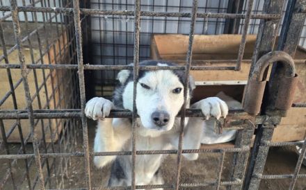 Curacao sucht eine aktive Familie