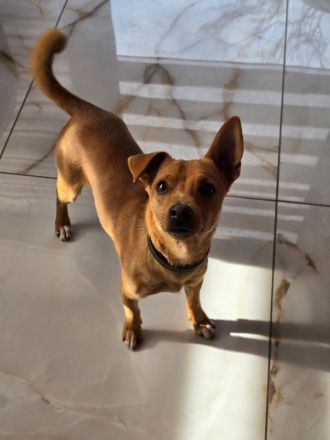 Jack – kleiner Kerl, großes Herz!