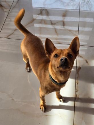 Jack – kleiner Kerl, großes Herz!