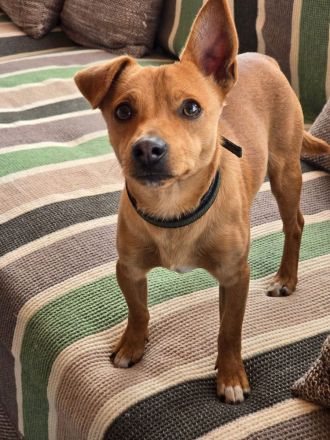 Jack – kleiner Kerl, großes Herz!