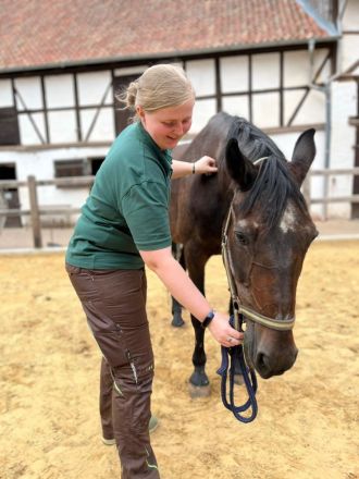 Tierheilphysiopraxis AW-Tiertherapie