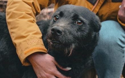 Strahlemann Mupi sucht seine Menschen