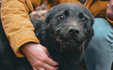 Strahlemann Mupi sucht seine Menschen