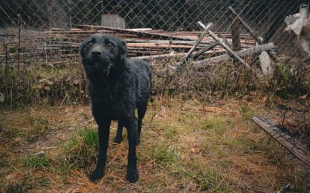Strahlemann Mupi sucht seine Menschen
