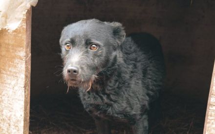 Strahlemann Mupi sucht seine Menschen