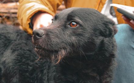 Strahlemann Mupi sucht seine Menschen