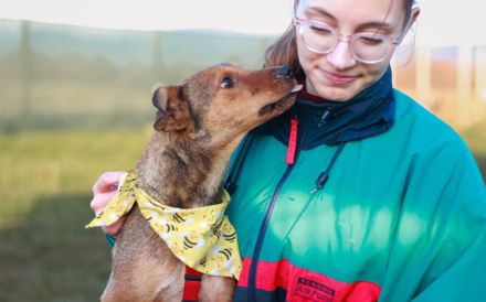 Aline hat überlebt - wer schenkt ihr ein Leben in Liebe