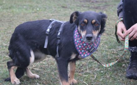 Wo darf Tonia endlich ankommen?