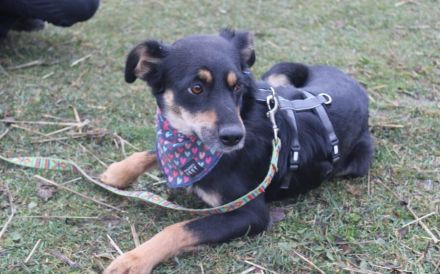 Wo darf Tonia endlich ankommen?