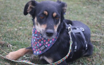 Wo darf Tonia endlich ankommen?