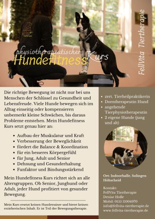 Hundefitness Kurs