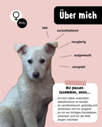 NICI - möchte nicht im Shelter aufwachsen